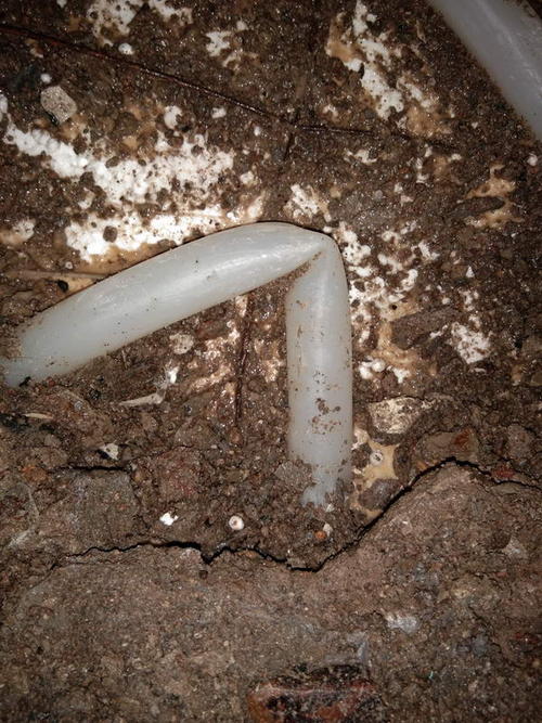 桂平堵点精准查找